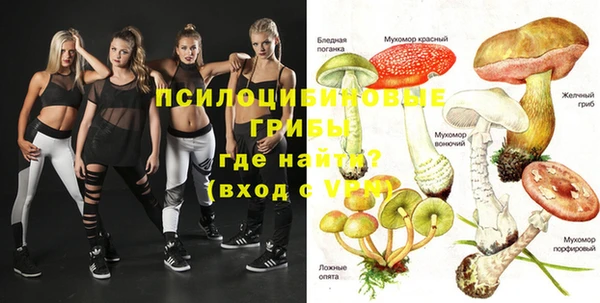 дмт Алексеевка