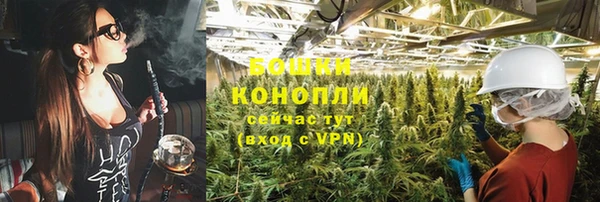 прущие крисы Абаза