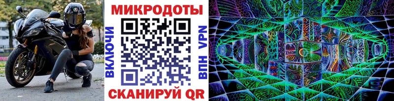 Псилоцибиновые грибы Psilocybe Сурск